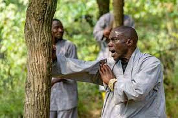 Cameroun – Kung Fu Wushu : Bientôt une académie nationale